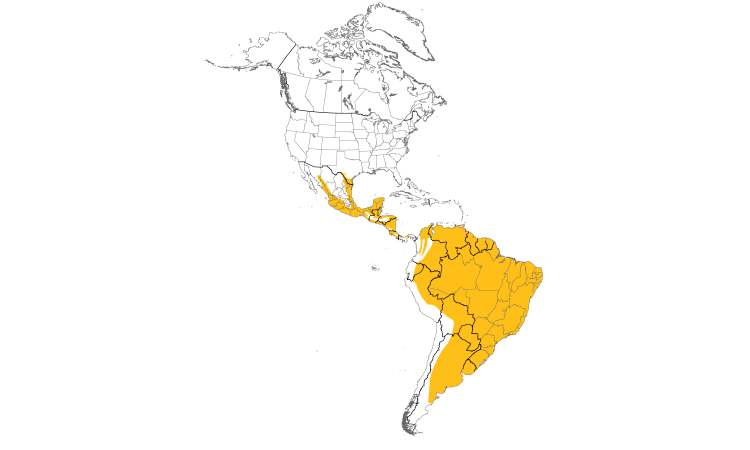 Range Map (Americas): Great Kiskadee