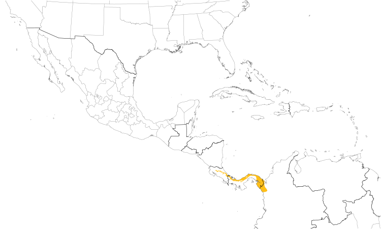 Range Map (Central): Black-crowned Antpitta