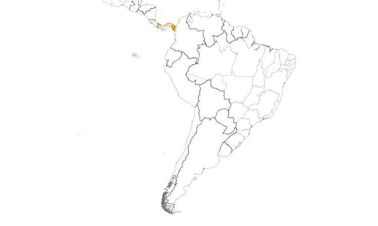 Range Map (South): Black-crowned Antpitta