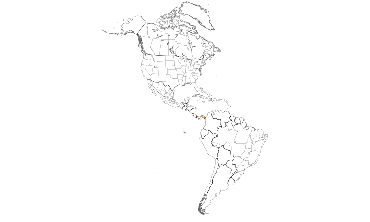 Range Map (Americas): Black-crowned Antpitta