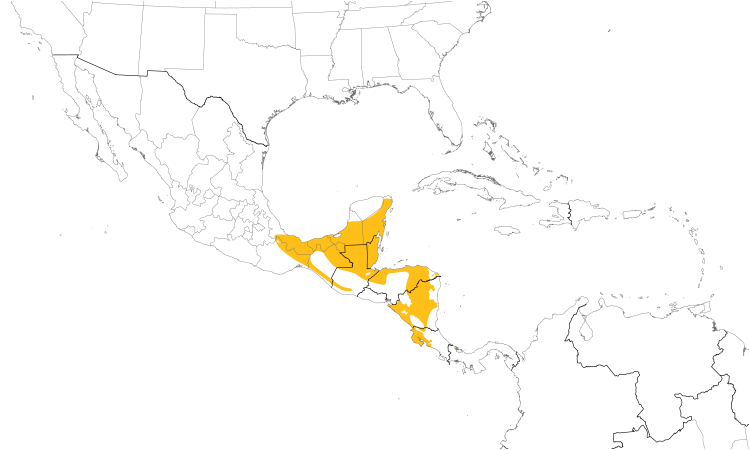 Range Map (Central): Stub-tailed Spadebill