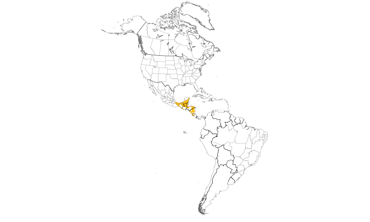 Range Map (Americas): Stub-tailed Spadebill