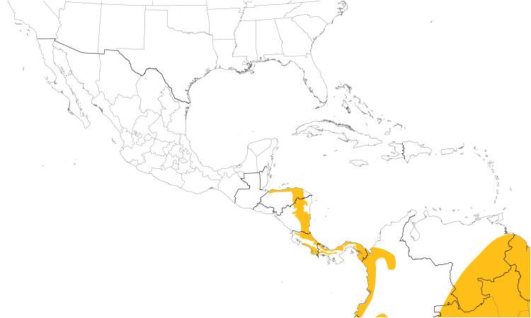 Range Map (Central): Golden-crowned Spadebill
