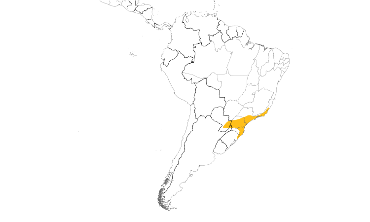 Range Map (South): Russet-winged Spadebill