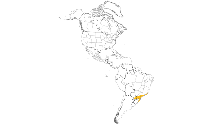 Range Map (Americas): Russet-winged Spadebill