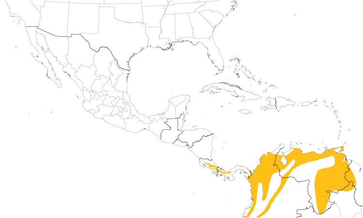 Range Map (Central): White-throated Spadebill