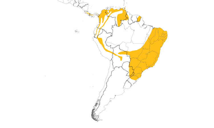 Range Map (South): White-throated Spadebill