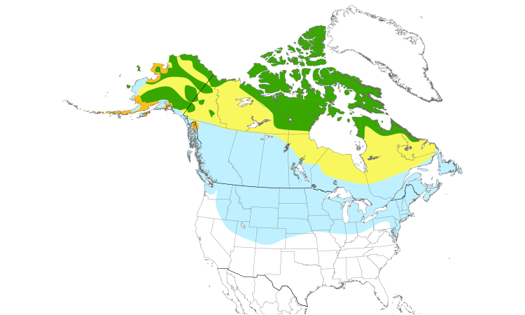 Carte de répartition  (North): Plectrophane des neiges