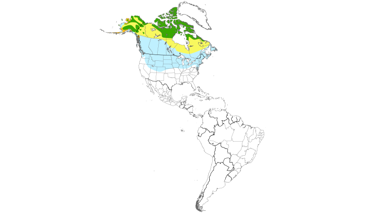 Carte de répartition  (Americas): Plectrophane des neiges