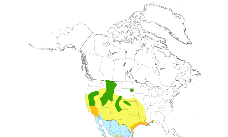 Range Map (North): White-faced Ibis