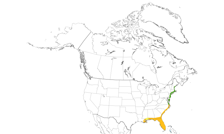Range Map (North): Glossy Ibis