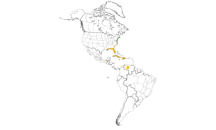 Range Map (Americas): Glossy Ibis