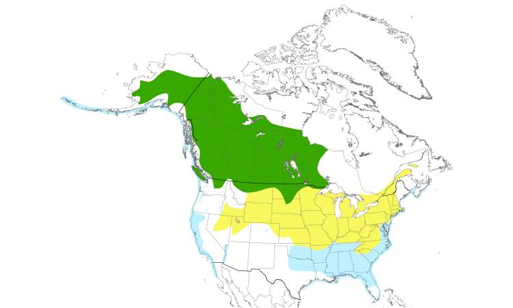 Range Map (North): Horned Grebe
