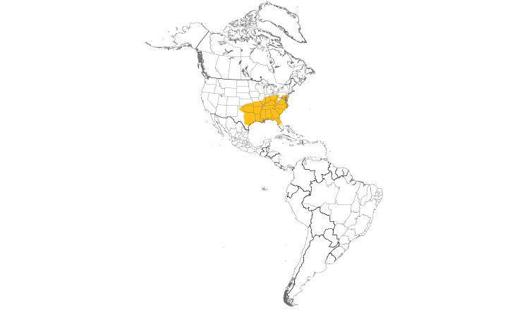 Range Map (Americas): Carolina Chickadee