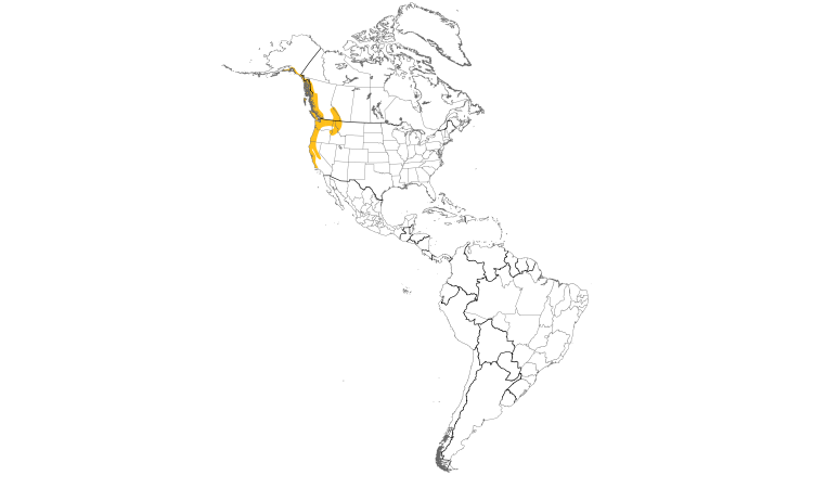 Range Map (Americas): Chestnut-backed Chickadee