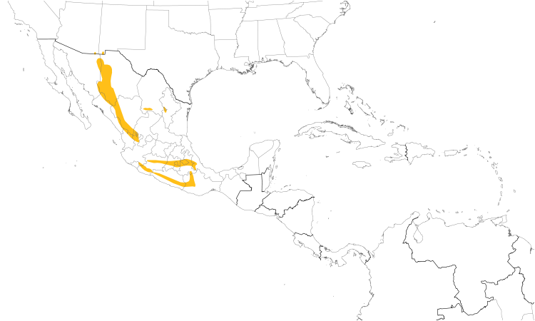 Range Map (Central): Mexican Chickadee