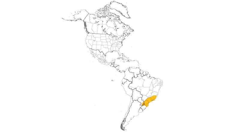 Range Map (Americas): Southern Bristle-Tyrant
