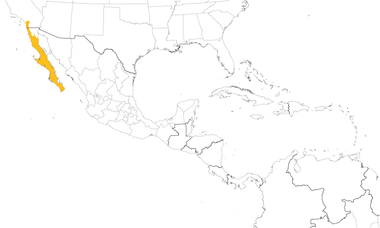 Range Map (Central): California Gnatcatcher