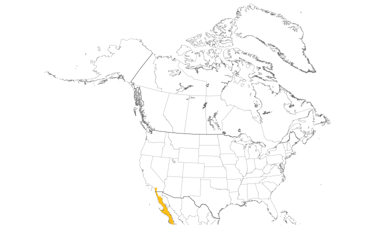 Range Map (North): California Gnatcatcher