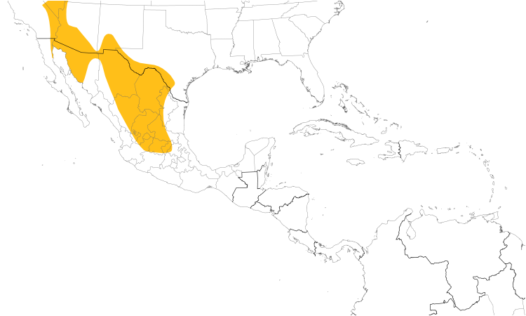 Range Map (Central): Black-tailed Gnatcatcher