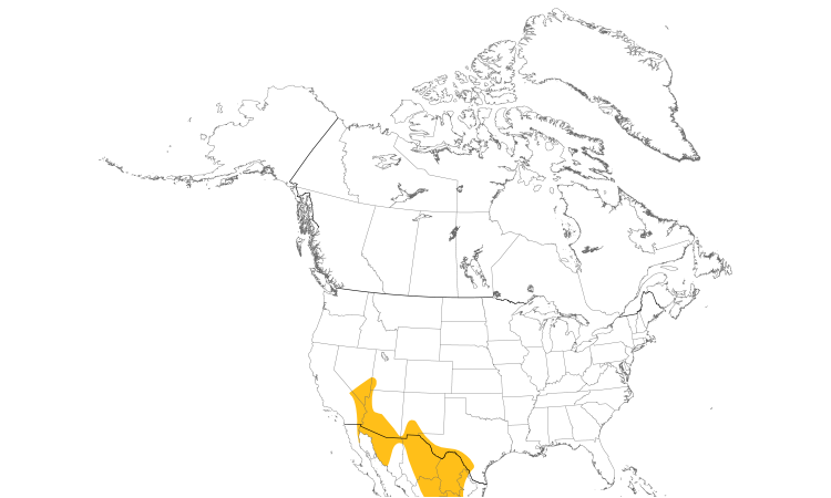 Range Map (North): Black-tailed Gnatcatcher