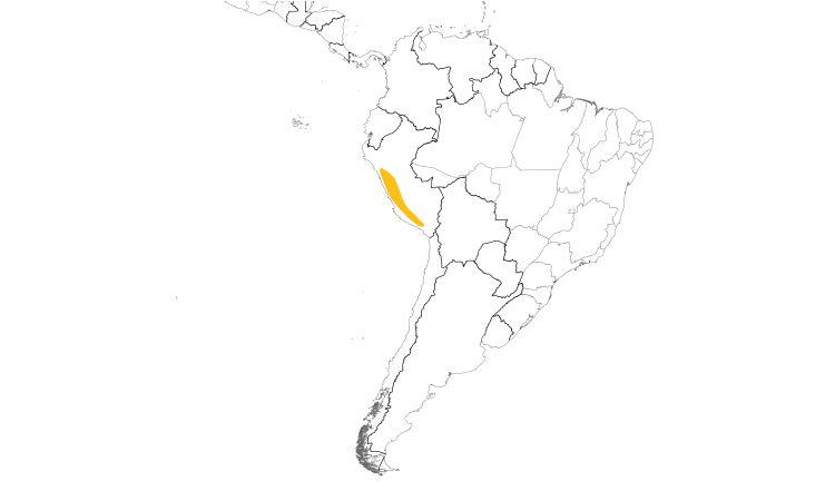 Range Map (South): Bronze-tailed Comet