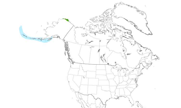 Range Map (North): Steller's Eider
