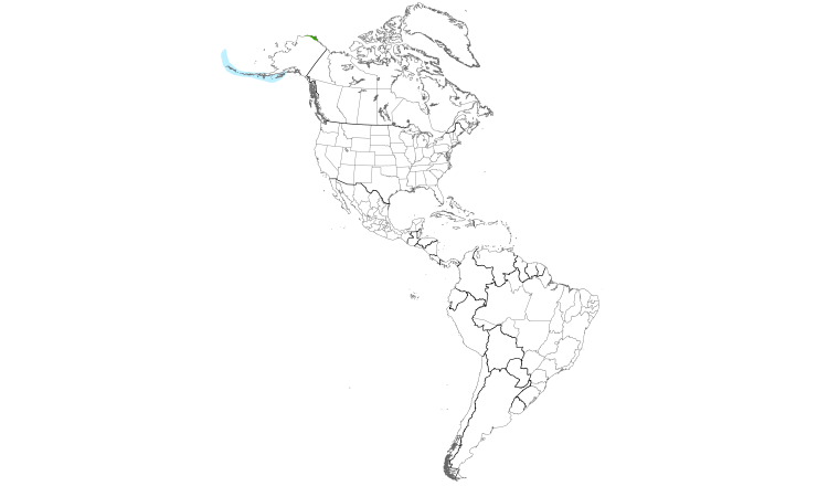 Range Map (Americas): Steller's Eider
