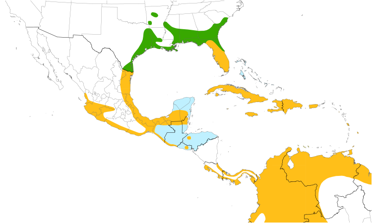 Range Map (Central): Purple Gallinule