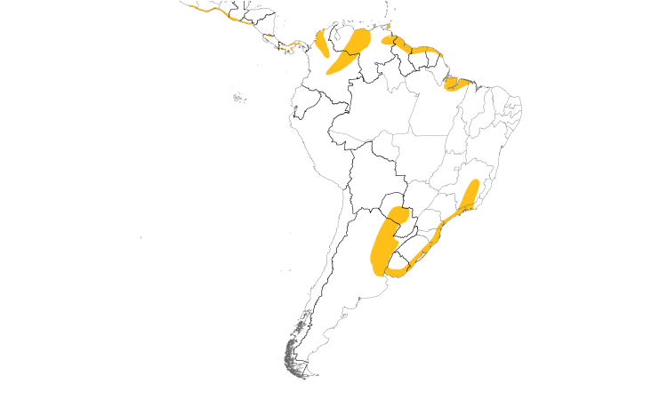 Range Map (South): Yellow-breasted Crake