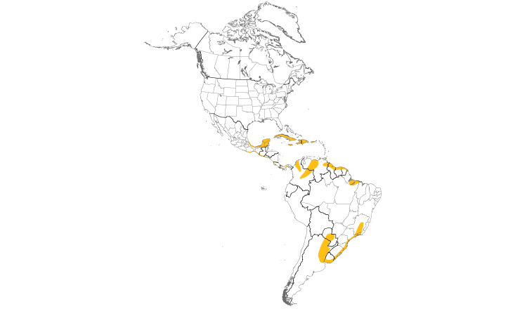 Range Map (Americas): Yellow-breasted Crake