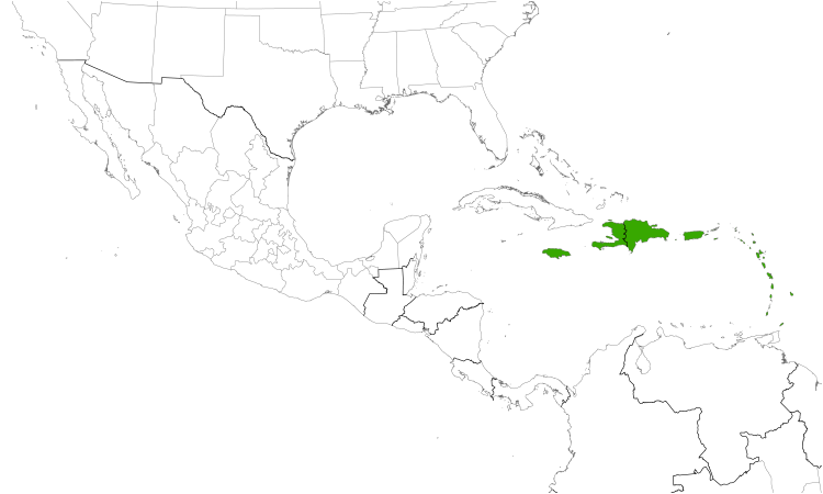Range Map (Central): Caribbean Martin