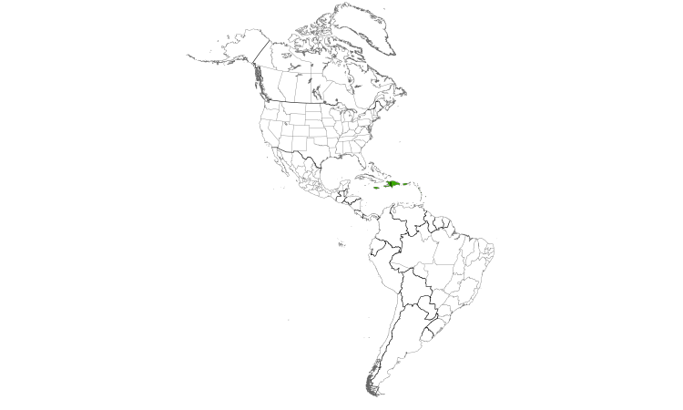 Range Map (Americas): Caribbean Martin