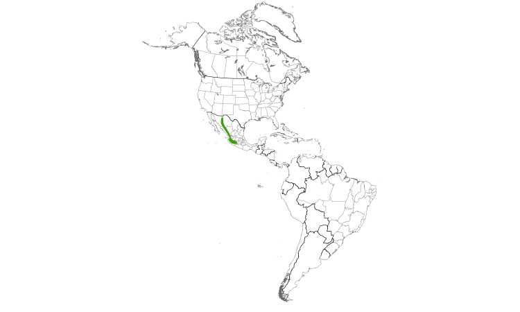 Range Map (Americas): Sinaloa Martin
