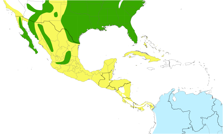 Range Map (Central): Purple Martin