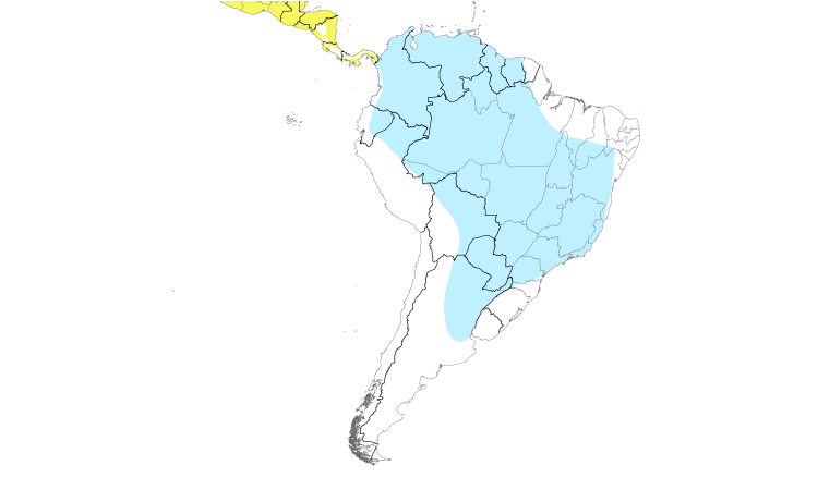 Range Map (South): Purple Martin