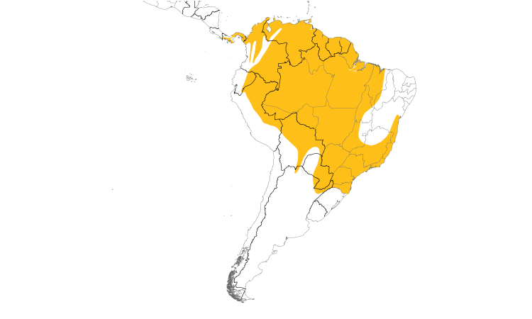 Range Map (South): Crested Oropendola