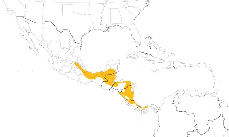 Range Map (Central): Montezuma Oropendola