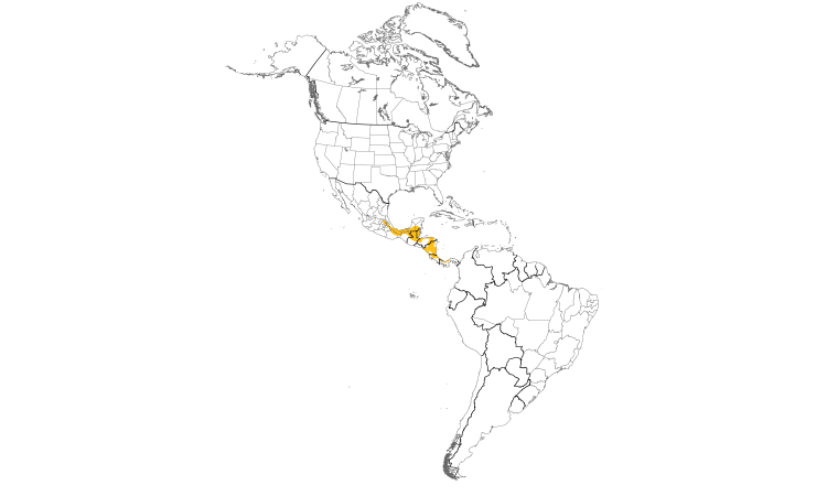 Range Map (Americas): Montezuma Oropendola