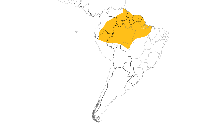 Range Map (South): Green Oropendola
