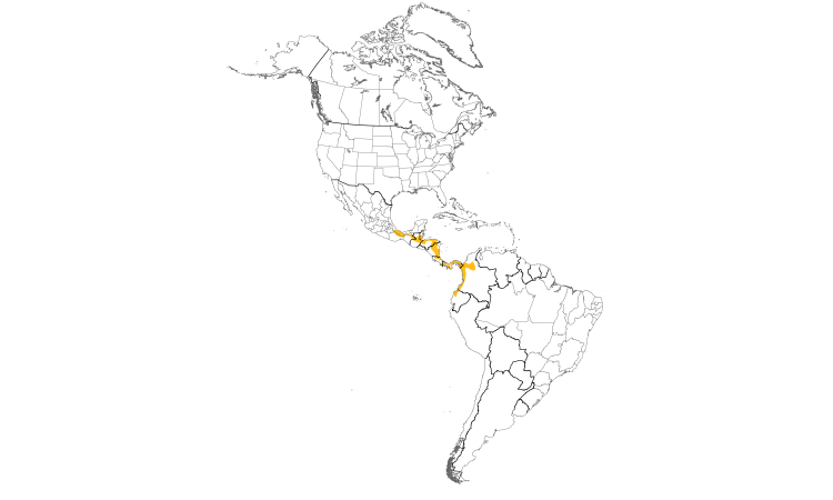 Range Map (Americas): Chestnut-headed Oropendola