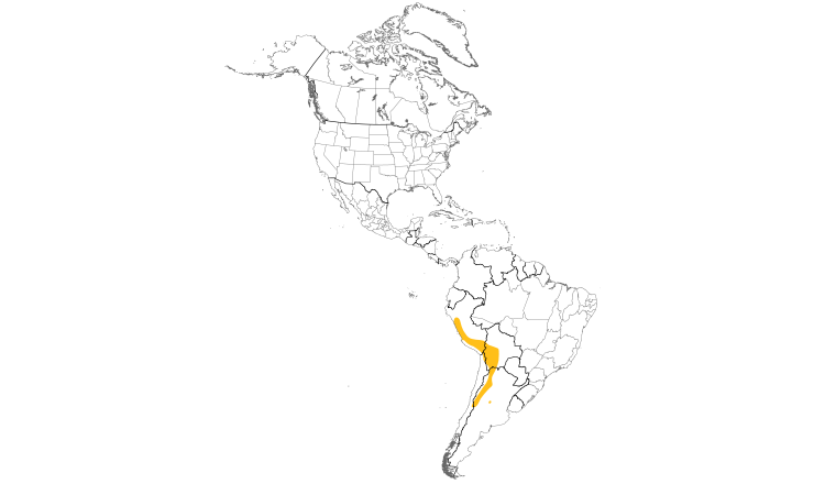 Range Map (Americas): Mountain Parakeet