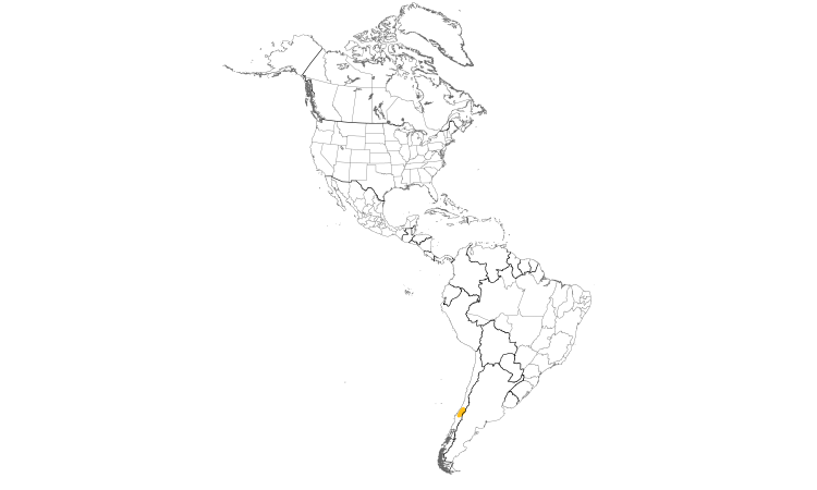 Range Map (Americas): Chestnut-throated Huet-huet