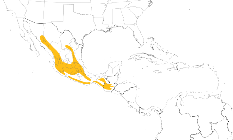 Range Map (Central): Gray Silky-flycatcher