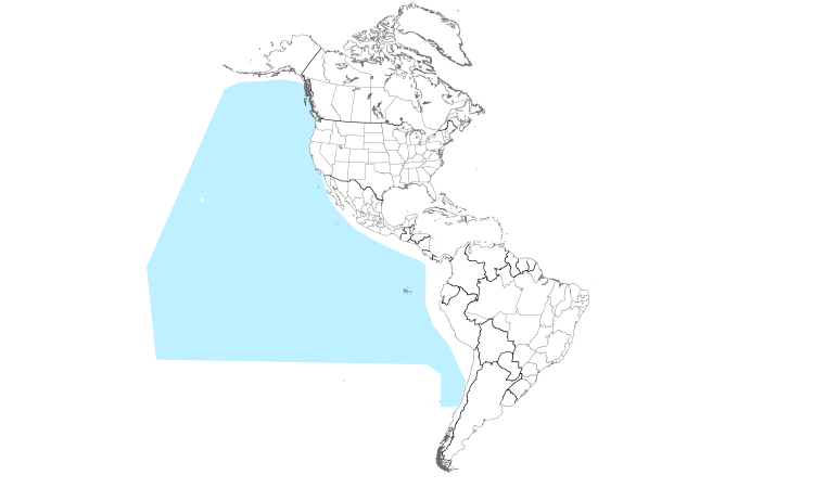 Range Map (Americas): Buller's Shearwater