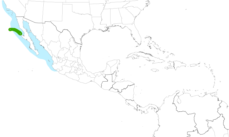 Range Map (Central): Black-vented Shearwater