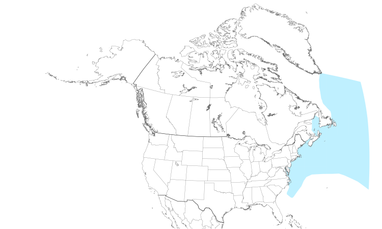 Range Map (North): Manx Shearwater