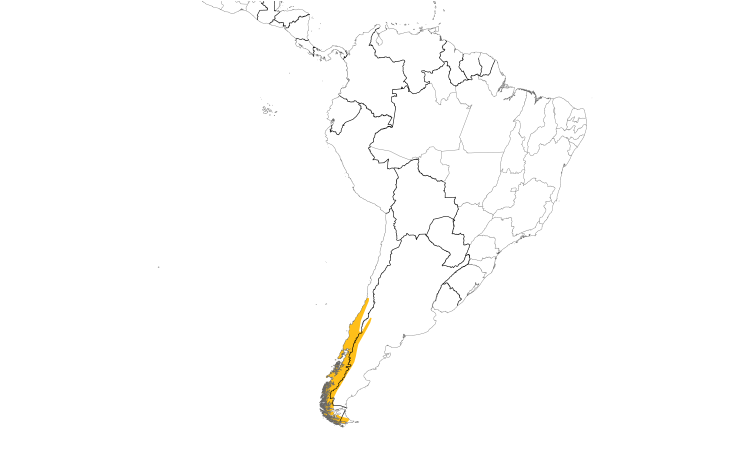 Range Map (South): White-throated Treerunner
