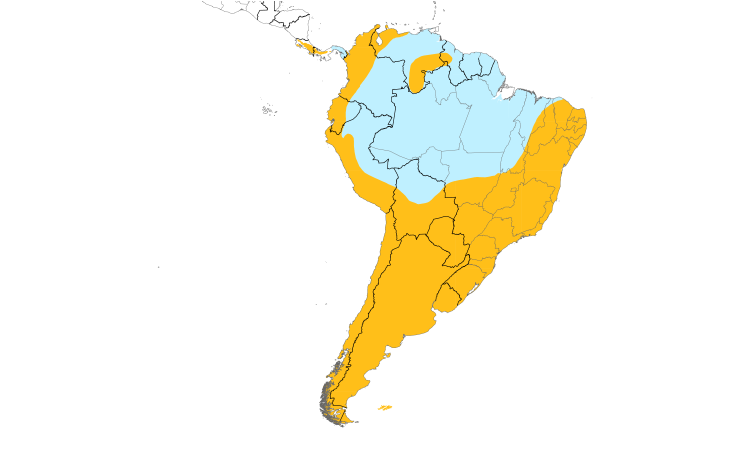 Range Map (South): Blue-and-white Swallow