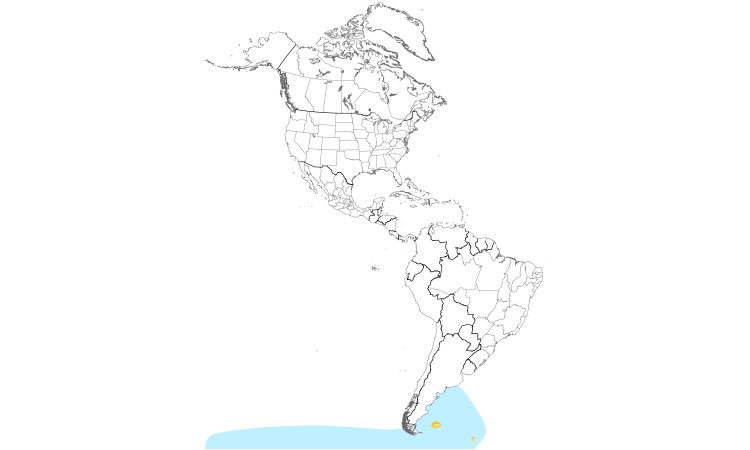 Range Map (Americas): Gentoo Penguin